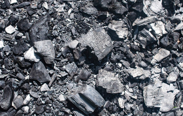 Coal and ash from a fire in the forest background.