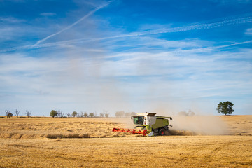Obraz premium Combine harvester working on agricultural field during harvest season. 