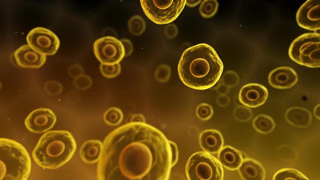 virus cell bacteria medical biology science background