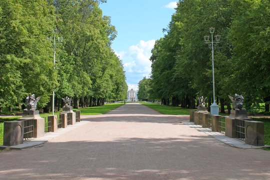 The road to the Catherine Palace. Alexandrovsky Park. Pushkin City.
