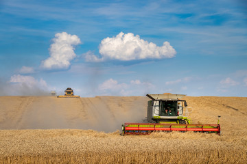 Combine harvester working at agricultural field. Harvesting ripe cereal plant.