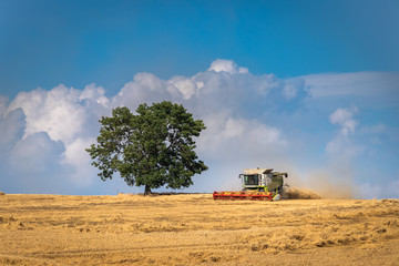 Obraz premium Combine harvester working on agricultural field during harvest season