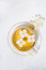 cup of fresh fragrant green tea with jasmine, vertical top view