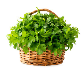 Fresh parsley leaves in a basket on a white background. Isolated.