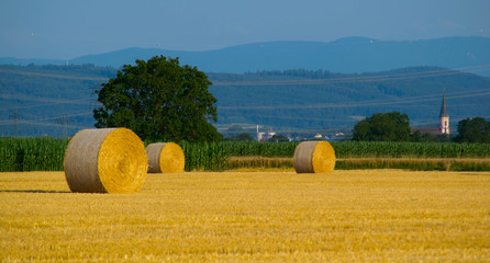 Strohballen nahe Kappel Grafenhausen in der Ortenau