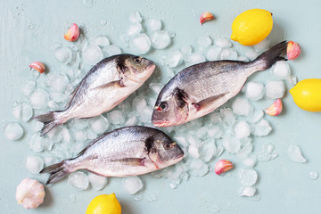 Tree fresh dorado, yellow lemons and garlic on the crushed ice