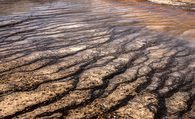 Grand Prismtaic Spring