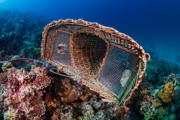 An abandoned underwater fish trap resting on corals on a tropical reef in Asia - Powered by Adobe