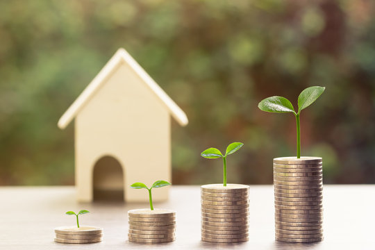 Property investment concepts.  A plant growing on stack of coins and blurred small house model and nature as background. Depicts a lasting and long-term investment. Home loan, mortgage, real estate.