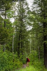 Grand Teton hiking trails