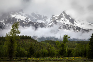 Gand Teton National Park