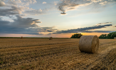 bright sunset over a sloping wheat field with large rolls of straw