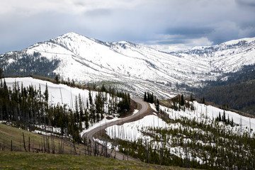 Fototapeta na wymiar Yellowstone National Park Mount Washburn Trail