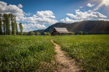 Mormon Row Grand Teton 