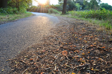 Radweg führt direkt in den Sonnenuntergang hinein