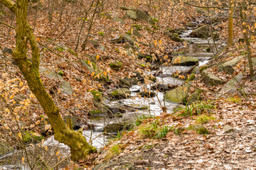 Little stream of water just at the end of winter season