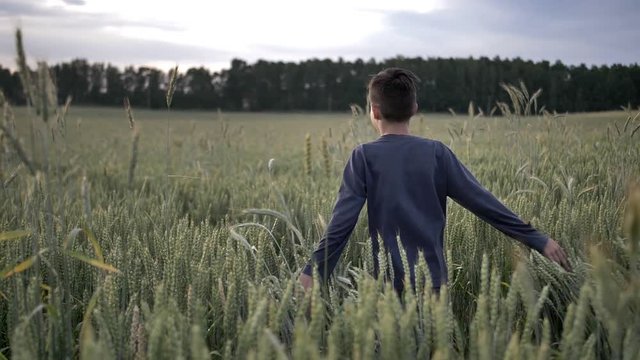 boy runs through a wheat field in the evening