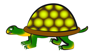 Turtle