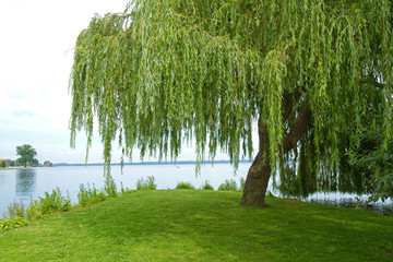 Burggarten von Schloss Schwerin am Schweriner See
