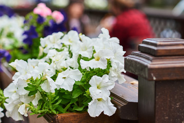 Terrace cafe decorates with a white flowers, close up