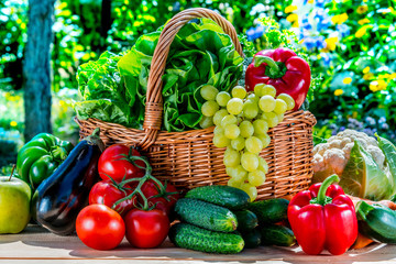 Variety of fresh organic vegetables and fruits in the garden