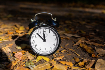 alarm clock on a leafy path in the park