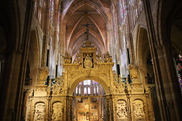 interior of st vitus cathedral in leon