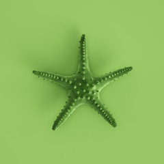 Green seastar on pastel green background. 3d rendering