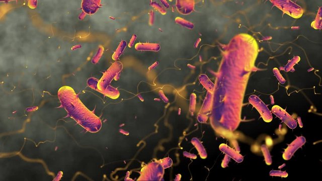 Virus bacteria and red blood cells, infection 3d rendering, health care, medical and science concept. particle in blood, human body science biology