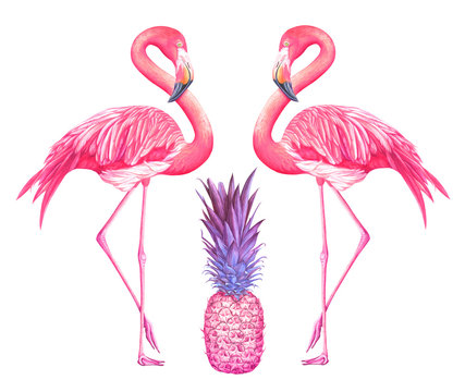 Two flamingos with pink pineapple isolated on white background. Hand drawn watercolor illustration.