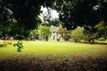 Botanical garden on Mauritius island