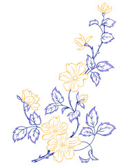 flower illustrations, prints, elements of designs