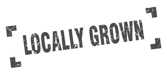 locally grown stamp. locally grown square grunge sign. locally grown