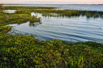 Wetlands in Nature Reserve Esteros del Ibera National Park, Colonia Carlos Pellegrini, Corrientes, Argentina.