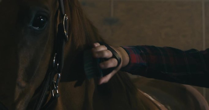 CU Handsome Caucasian male farmer grooming his horse inside stables. Shot on RED Helium. 4K UHD RAW graded footage