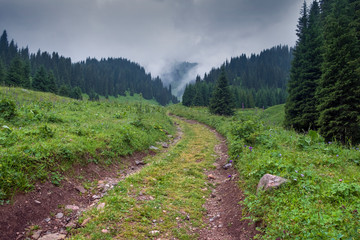  dirt road in the mountains goes to the top of the ridge in the misty forest