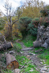 Otoño en Sierra Nevada,Granada,España.Paisajes otoñales de la vertiente sur del Mulhacen