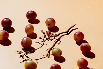 grapes still life