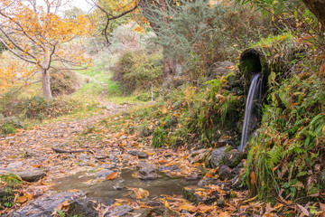 Otoño en Sierra Nevada,Granada,España.Paisajes otoñales de la vertiente sur del Mulhacen
