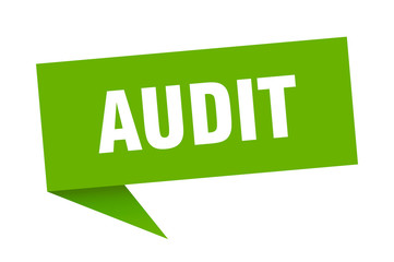 audit
