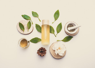 natural cosmetic cream , serum, skincare blank bottle packaging with leaves herb, wood . bio organic product.beauty and spa concept.