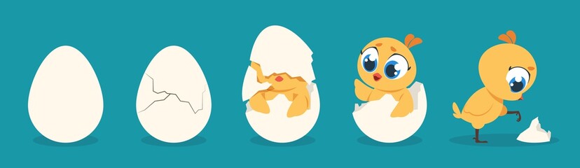 Hatching chicken. Cartoon baby chick birthday step-by-step process, cute flat poultry character. Vector illustration egg and chick for kids on blue background