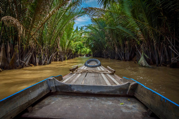 Boat tour through the jungle of Vietnam, Mekong Delta