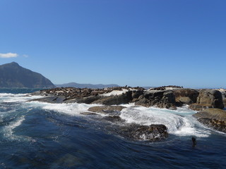 fels, natur, landschaft, berg, Meer