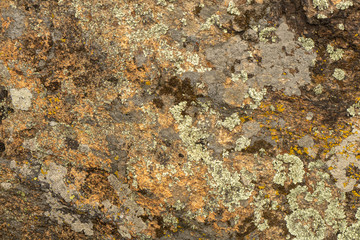 Texture of old granite covered with moss. Creative vintage background.