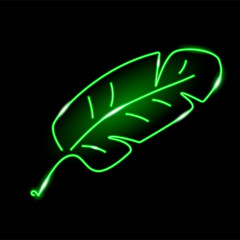 Neon banana leaf isolated on black background. Exotic, summer, tropical, nature concept for logo, banner, web design. Vector 10 EPS illustration.