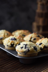 Yummy crumble top blueberry muffins in baking pan on black background with natural lighting copy space
