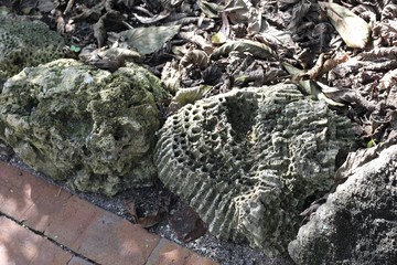 rock, stone.