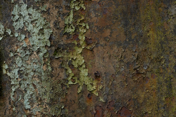 Rusted metal and peeling paint texture