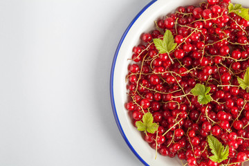 red currant with green leaves in a gray plate with blue edges on a gray background with copy space, top view